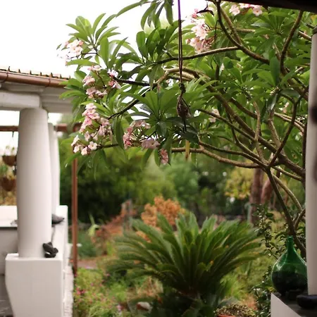 Guest house Casa Radici