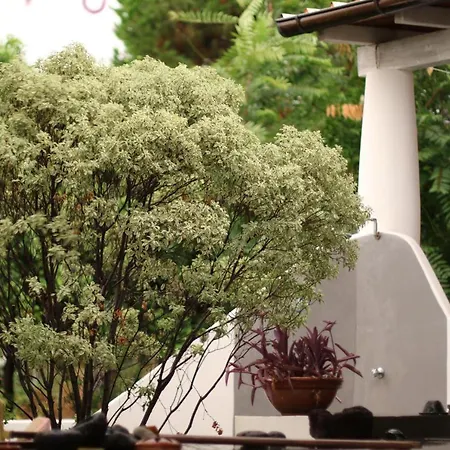 Casa Radici Guest house *